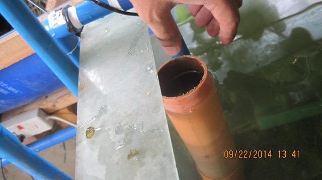 IMG_3892 (640x359).jpg