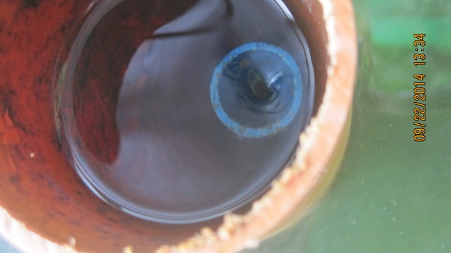 IMG_3875 (640x359).jpg