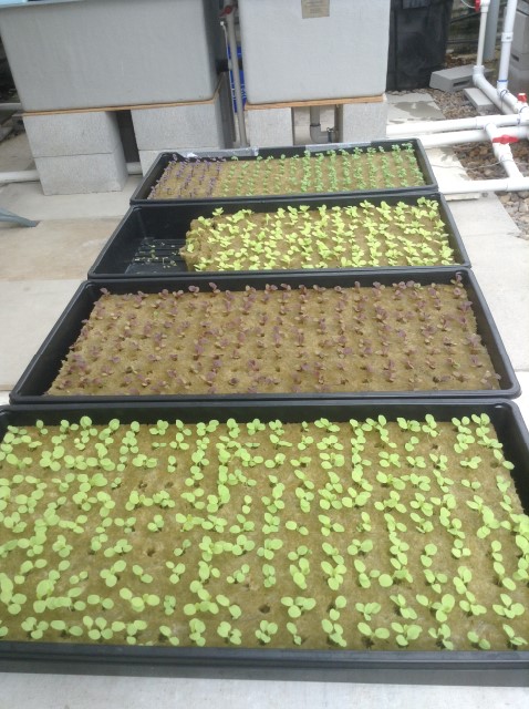 2014-04-14 14.53.14.jpg