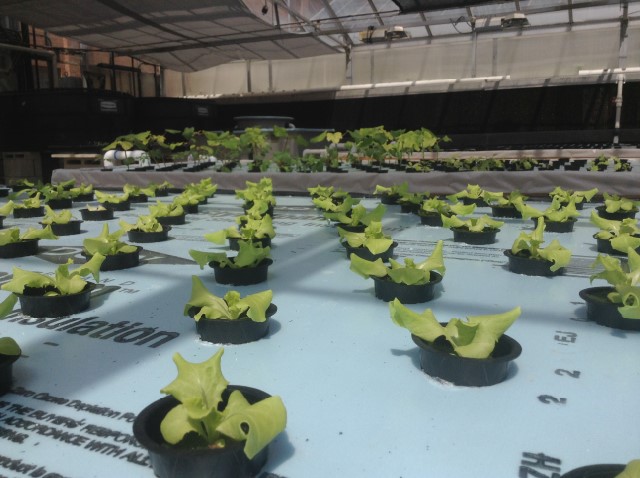 2014-04-26 15.30.25.jpg