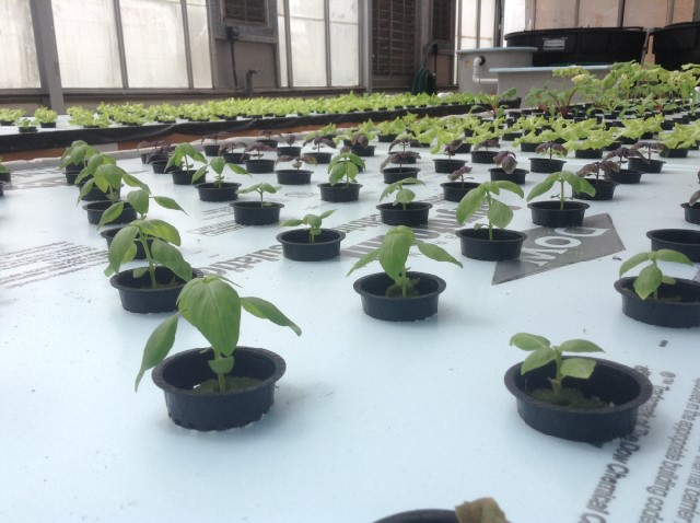 2014-04-30 15.41.53.jpg