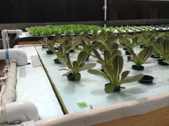 2014-07-23 11.41.10.jpg