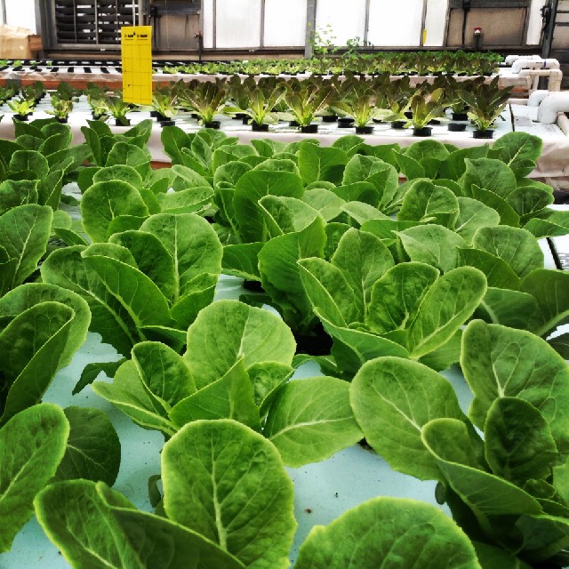 2014-07-24 14.05.26-2.jpg