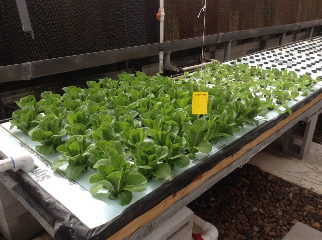 2014-07-28 10.32.17.jpg