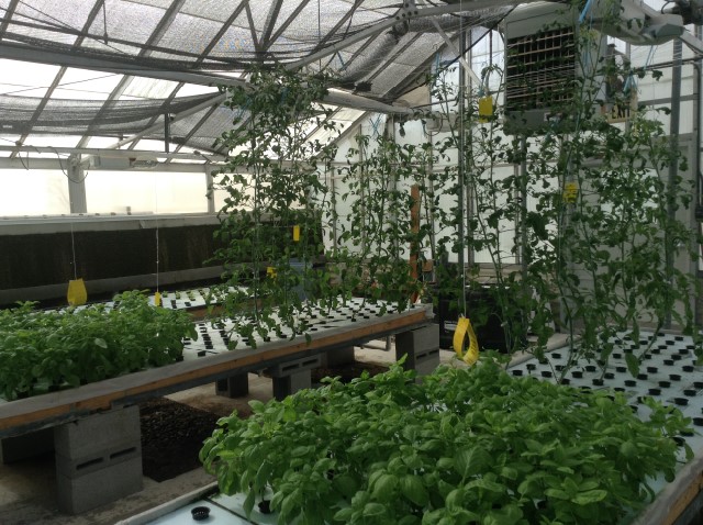 2014-08-21 09.35.45-1.jpg