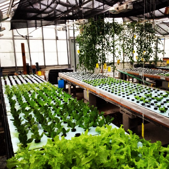 2014-09-03 08.38.20-2.jpg