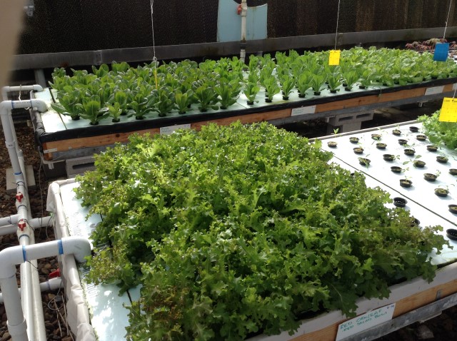 2014-09-09 09.46.22.jpg