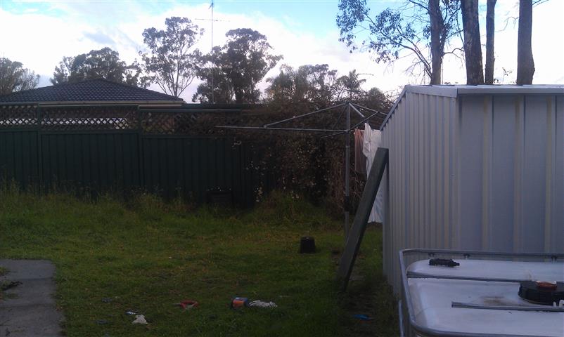 IMAG0918 (Small).jpg