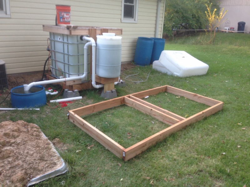 IMG_2089 (800x600).jpg