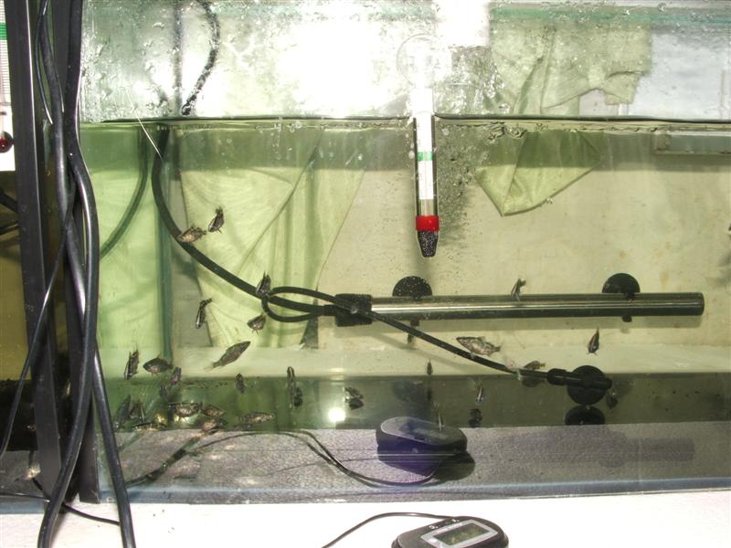 DSCF4574 (Medium).JPG