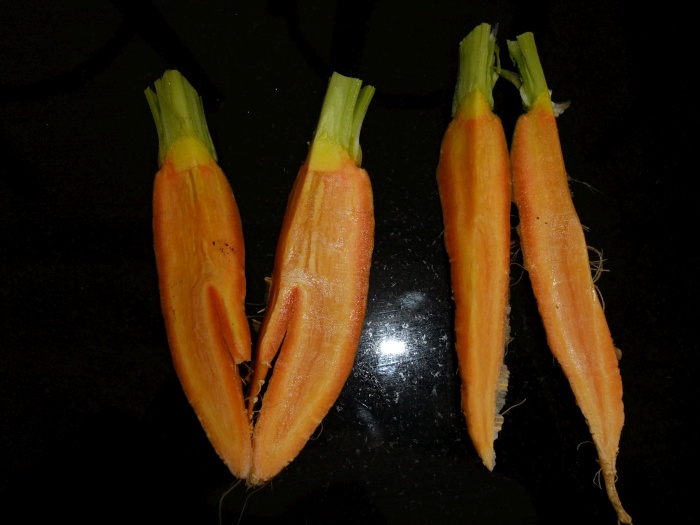 chopped up carrot.jpg