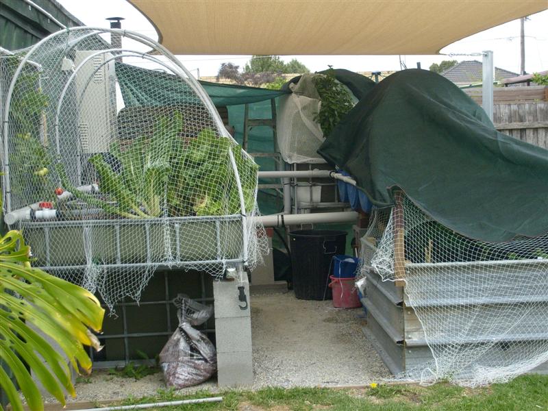 S6303341 (Medium).JPG