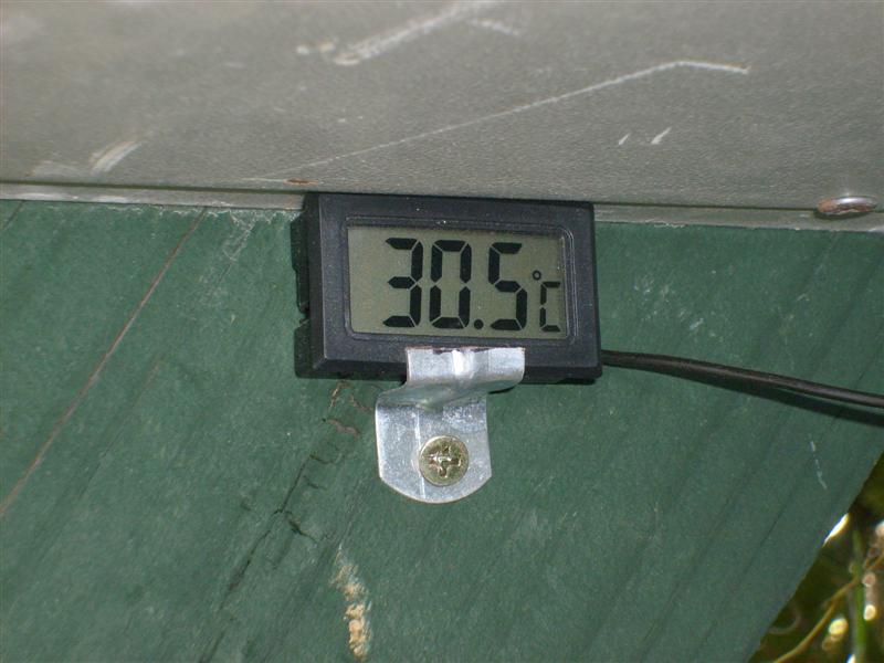 30.5° (Medium).JPG