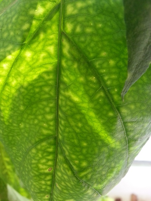 2014-10-03 13.12.14 - Copy.jpg