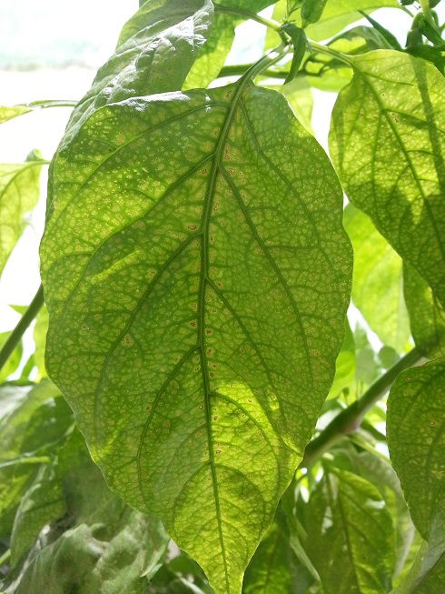 2014-10-03 13.12.20 - Copy.jpg