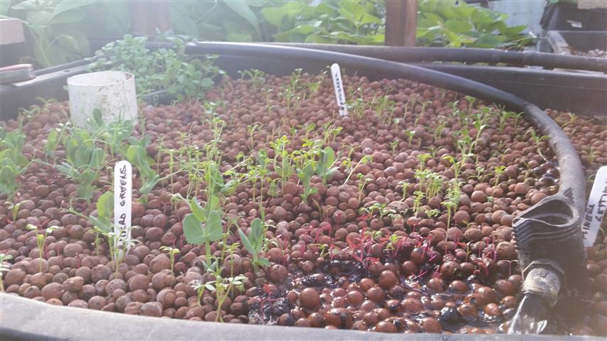 2014-10-09 18.27.41 (Small).jpg