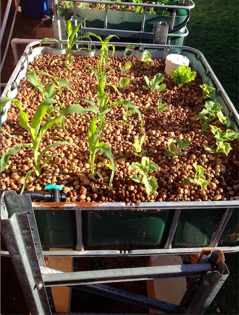 Screen Shot 2014-10-09 at 5.41.23 pm.png