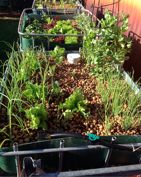 Screen Shot 2014-10-09 at 5.42.06 pm.png