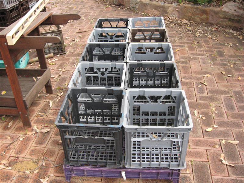 crates (Medium).jpg