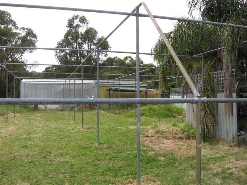 shade 1 (Medium).jpg