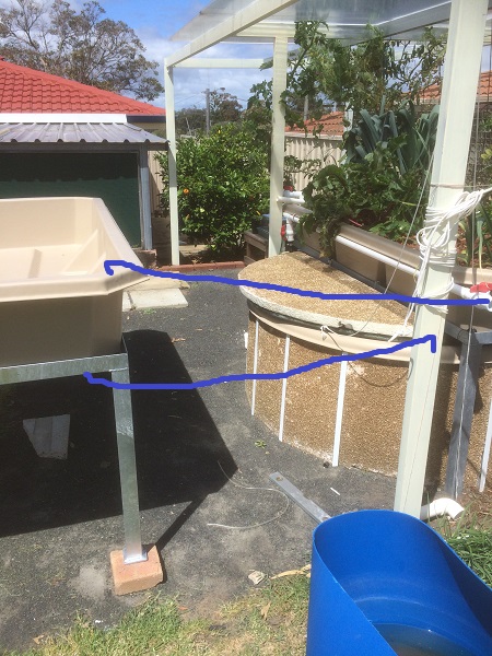 IMG_1415 resized.jpg