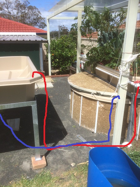 IMG_1415 risized.jpg