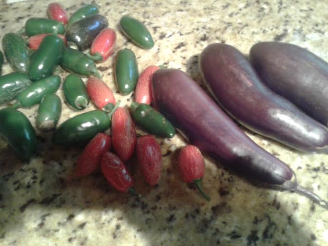 eggplant peppers fresh.jpg
