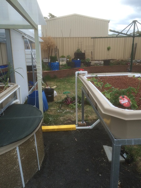 IMG_1438 resized.jpg