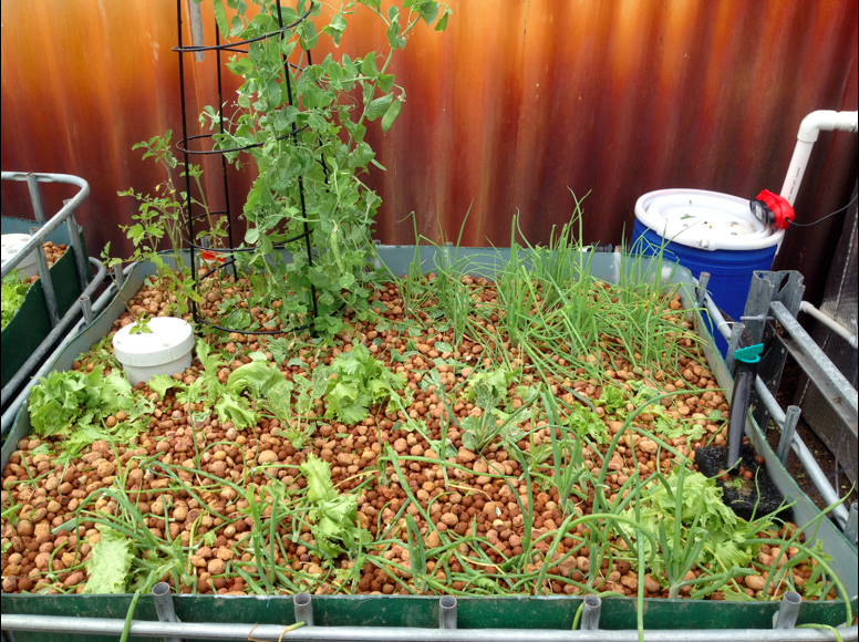 Screen Shot 2014-10-19 at 7.53.08 pm.png