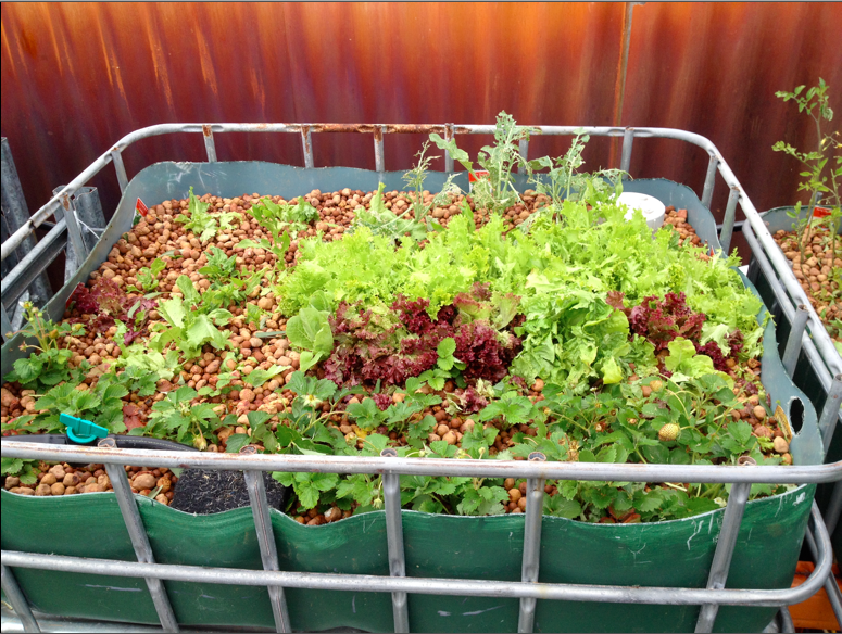 Screen Shot 2014-10-19 at 7.53.15 pm.png