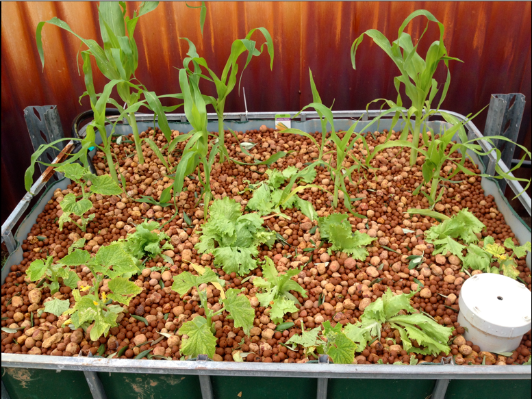 Screen Shot 2014-10-19 at 7.53.22 pm.png