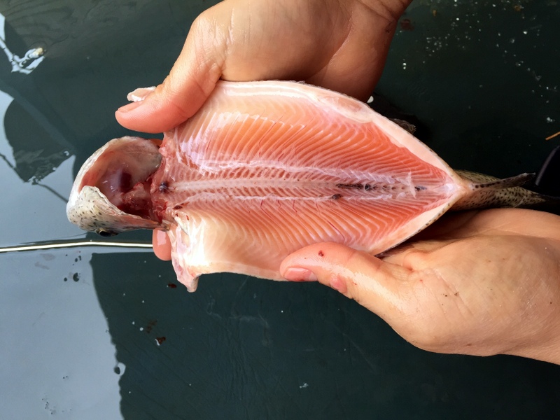 2014-10-19 09.26.04.jpg