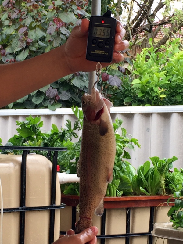 2014-10-19 09.22.29.jpg