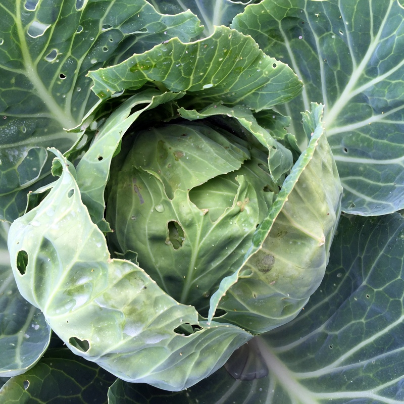 2014-10-18 12.19.49.jpg