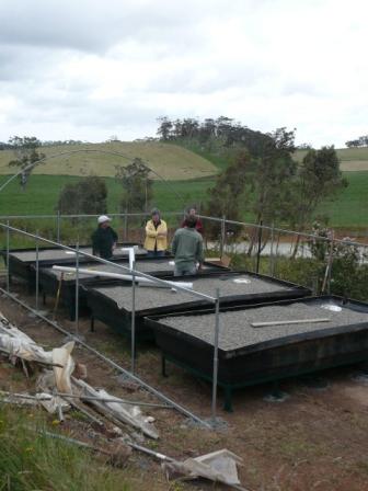 ap workshop 28.10.07 015.jpg