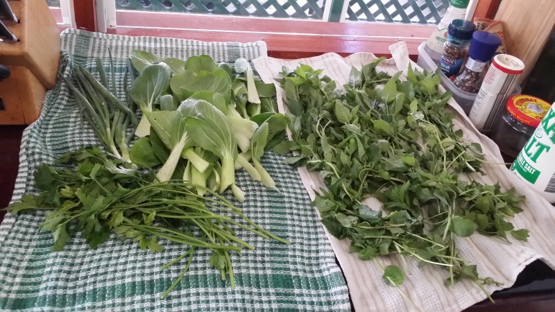 2014-10-12 16.41.14.jpg