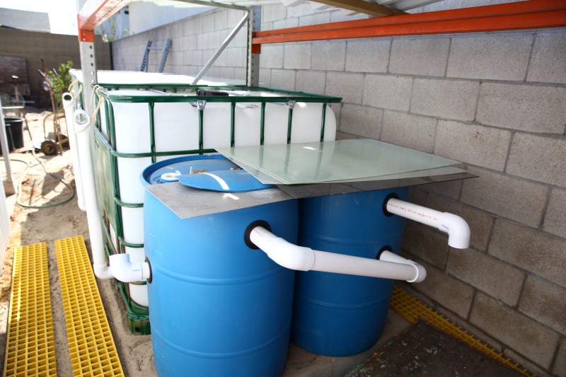 IMG_5990 (Custom).JPG