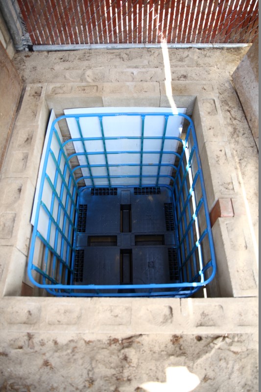 IMG_5450 (Custom).JPG