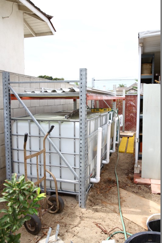 IMG_6010 (Custom).JPG