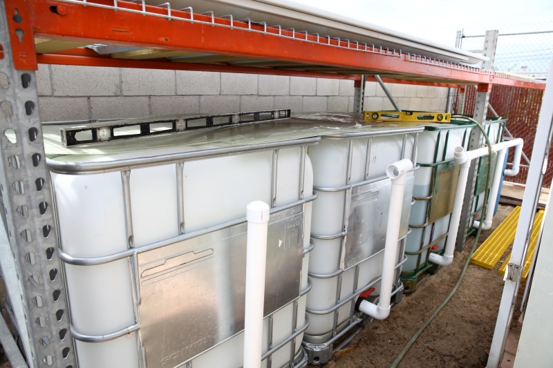 IMG_6011 (Custom).JPG