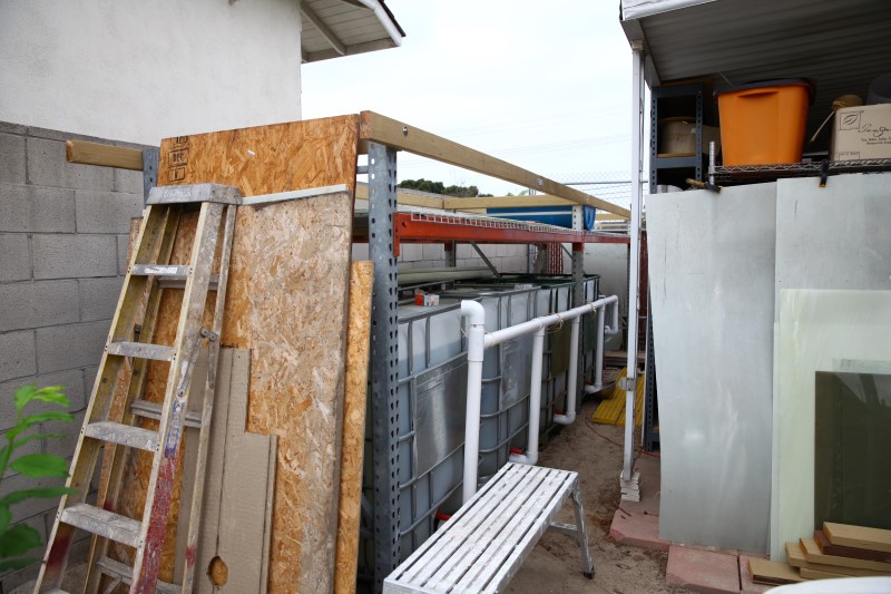 IMG_6297 (Custom).JPG