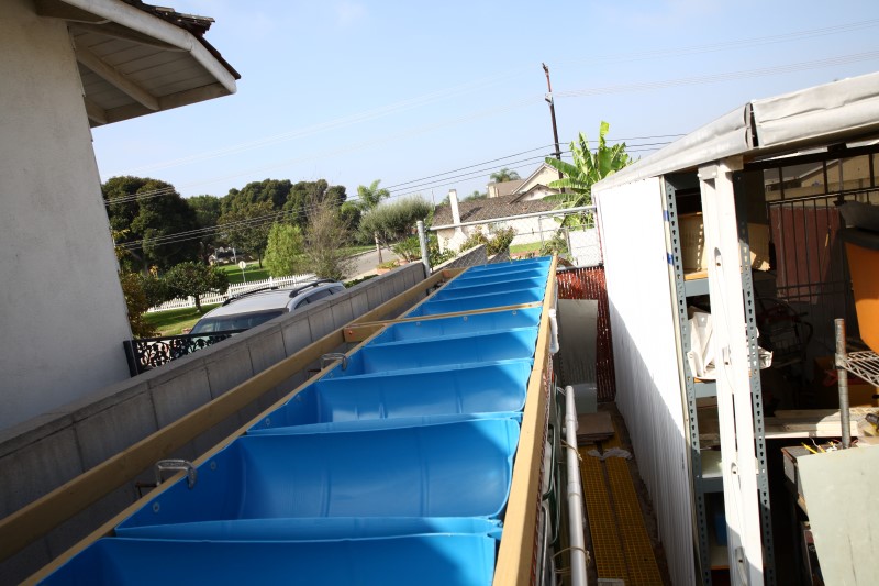 IMG_6313 (Custom).JPG