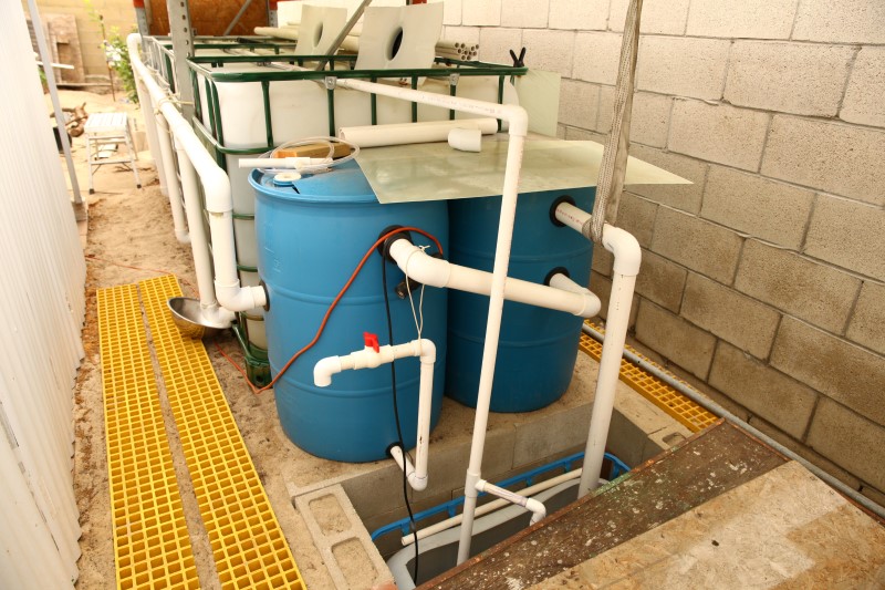 IMG_6307 (Custom).JPG