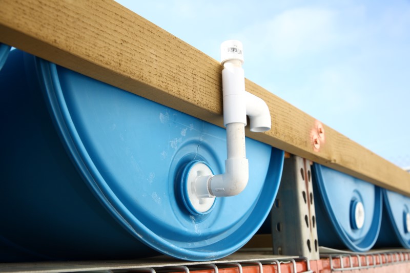 IMG_6317 (Custom).JPG