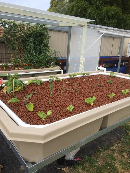 IMG_1475 resized.jpg