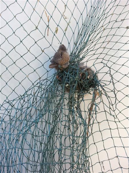 IMG_20141025_160131 (Custom).jpg