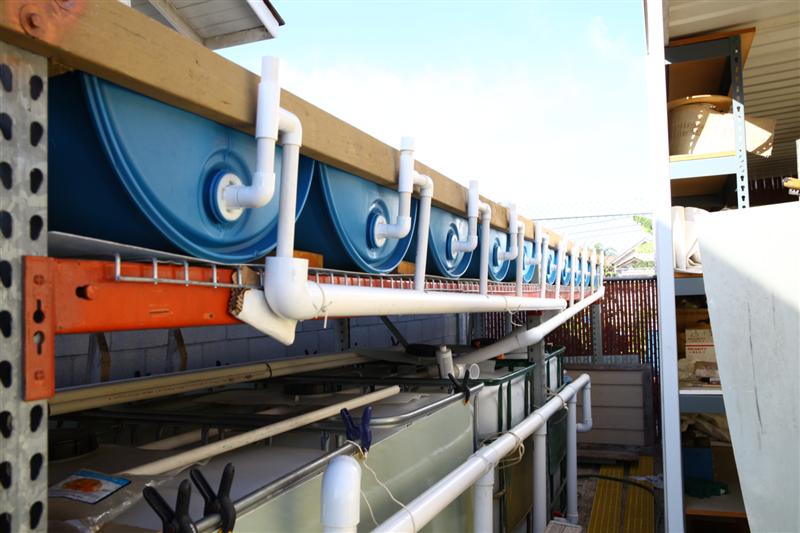 IMG_6338 (Custom).JPG