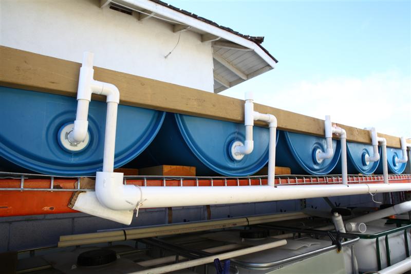 IMG_6339 (Custom).JPG