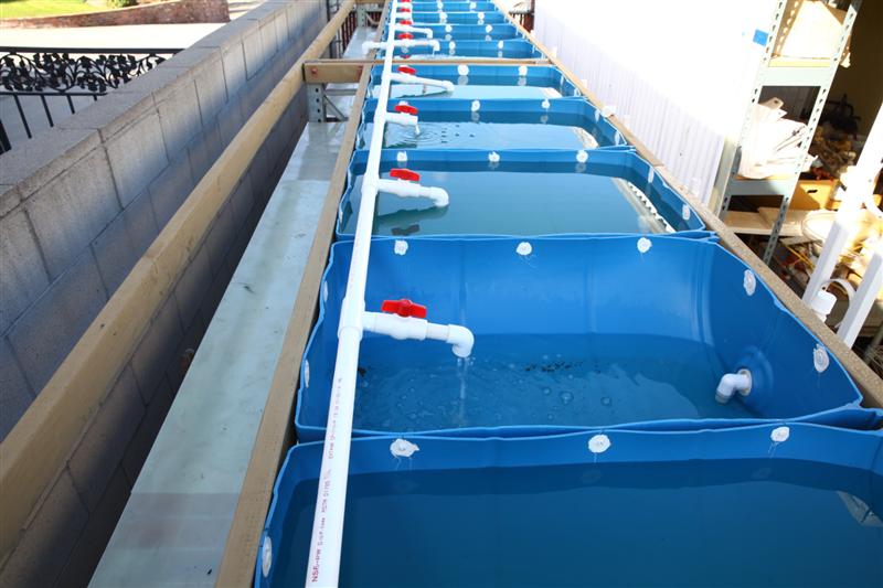 IMG_6342 (Custom).JPG