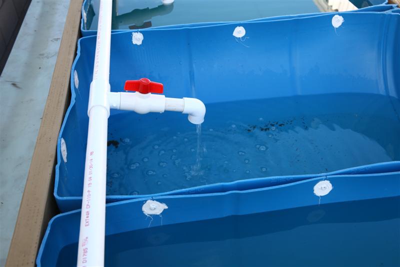 IMG_6343 (Custom).JPG